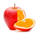 red apple with orange fillings, genetically modified organism