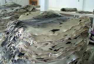 seal pelts in a pile