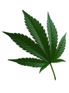 MarijuanaiStock
