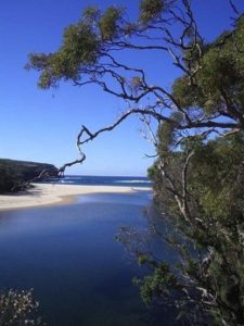 WattamollaBeachRoyalNationalParkAustralia