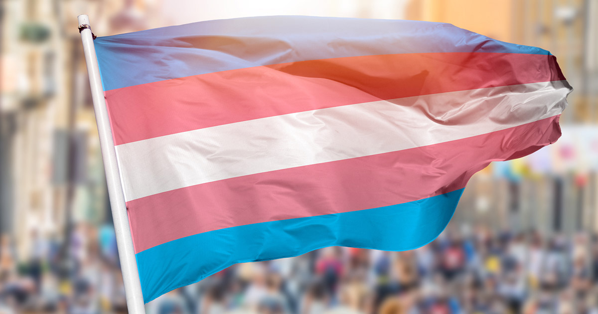 transgender flag