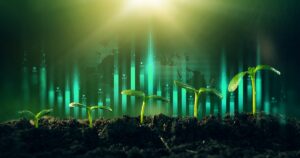 corporate seeds plants growth